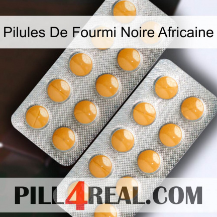 African Black Ant Pills levitra2